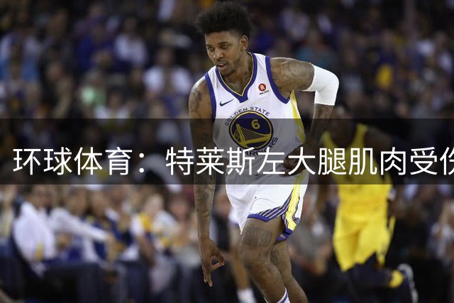 环球体育：特莱斯左大腿肌肉受伤，缺战帕尔梅拉斯
