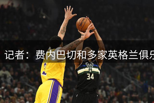 记者：费内巴切和多家英格兰俱乐部有意法兰克福前锋巴霍亚